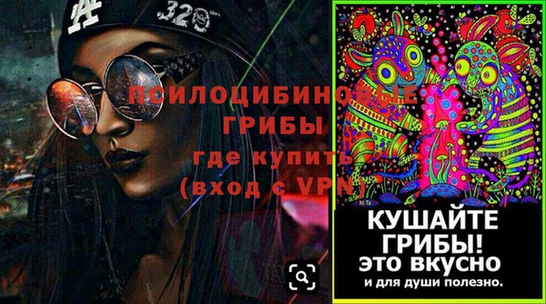 прущая мука Инта