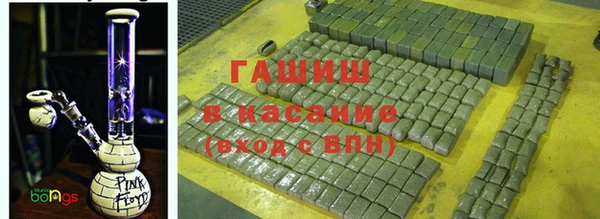 шишки Каменногорск
