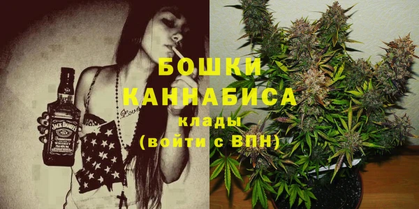 шишки Каменногорск