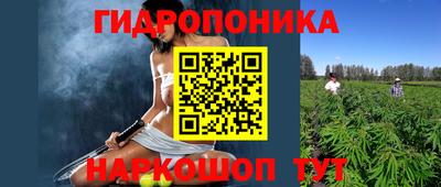 гидра Кимры