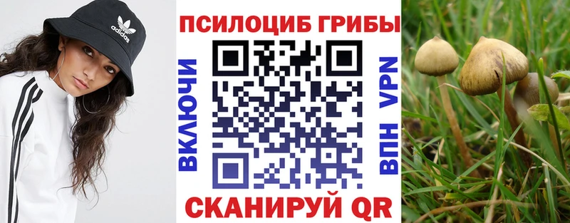мориарти какой сайт  Коммунар  Псилоцибиновые грибы ЛСД  кракен ССЫЛКА 
